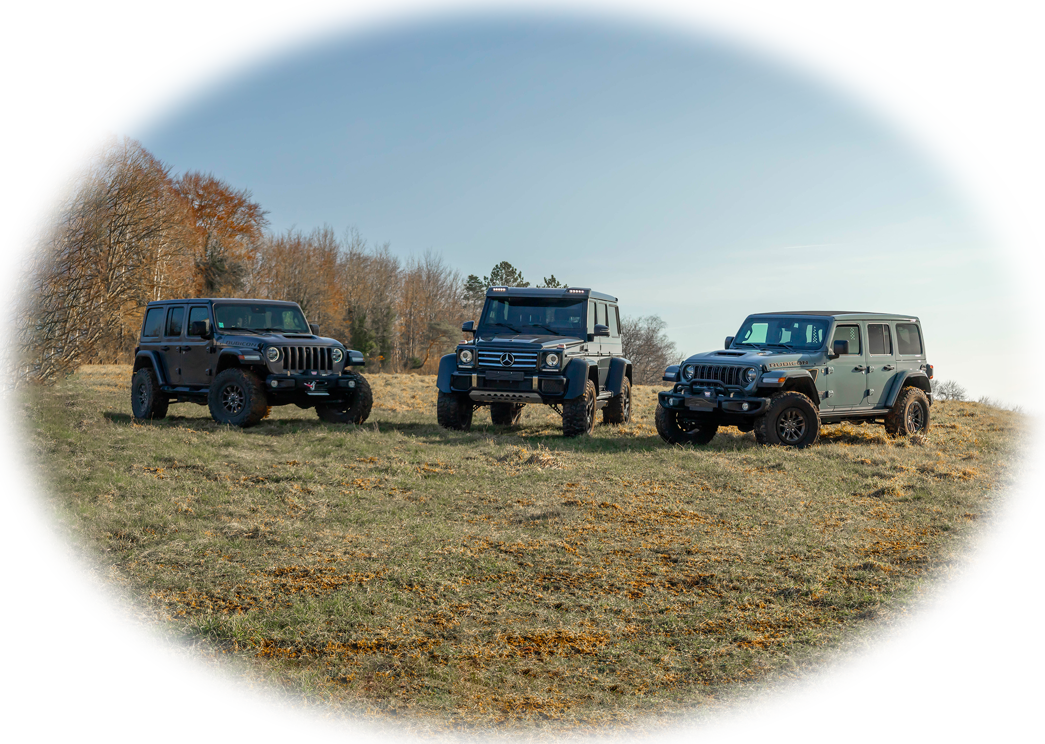 Recherche personnalisée